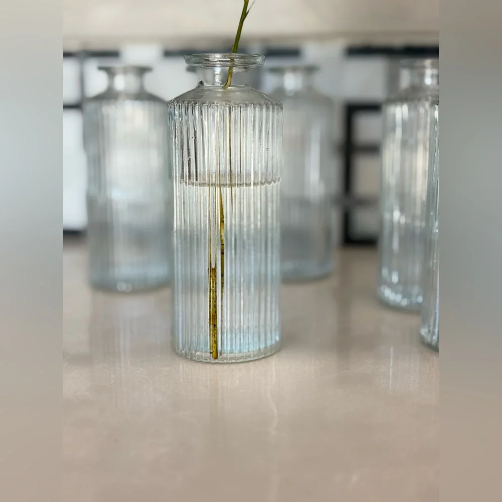 Set of 6 West Elm Modern Glass Ribbed Bud Vases - Picture 9 of 11